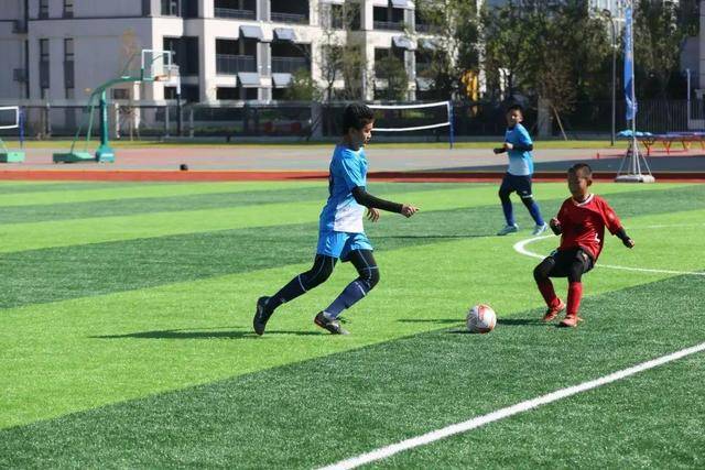 那不勒斯本赛季22轮53分 与上赛季最终积分相同